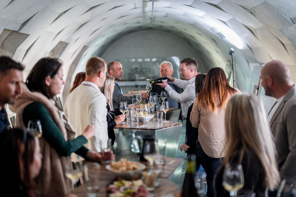 Guided Wine Tasting for Wine Lovers